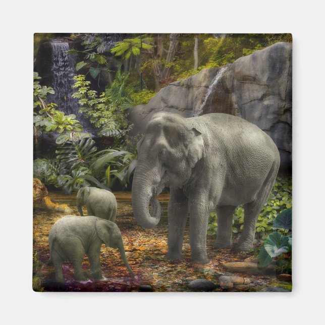 Elephant Family RAIN FOREST PARTY Magnet (Front)