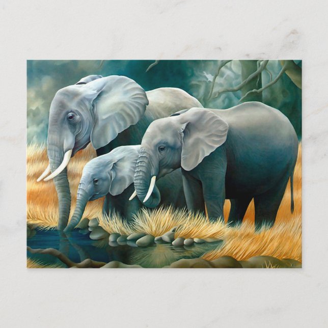 Elephant Family Safari Postcard (Front)