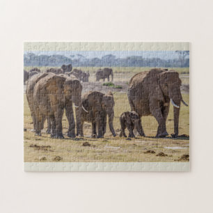 Elephant Family Walking Jigsaw Puzzle