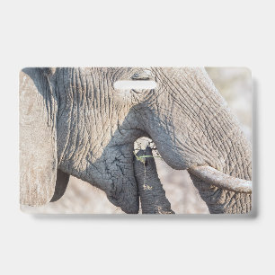 Elephant feeding badge