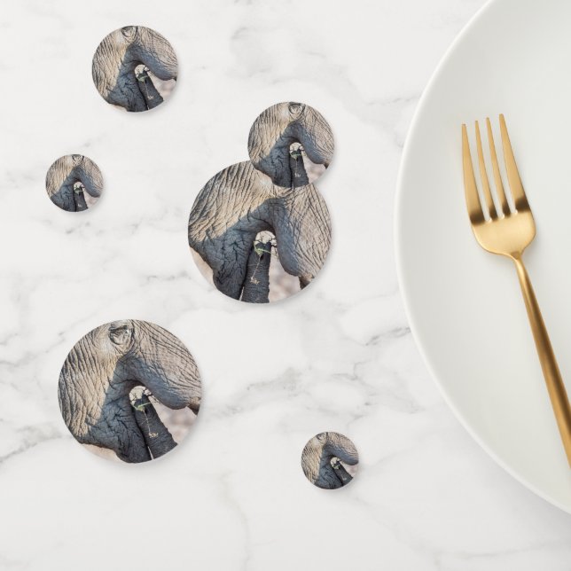 Elephant feeding confetti (Group)