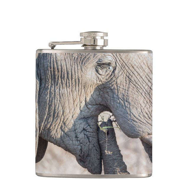 Elephant feeding hip flask (Front)