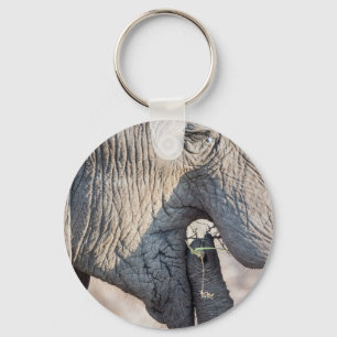 Elephant feeding keychain