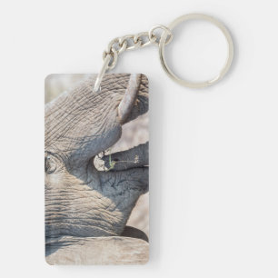 Elephant feeding keychain