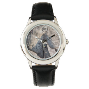 Elephant feeding watch