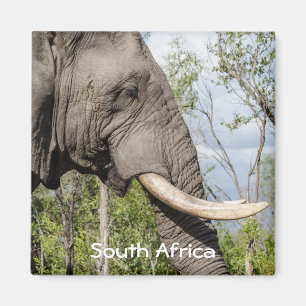 Elephant Fridge Magnet - South Africa
