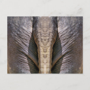 ELEPHANT FUN POSTCARD