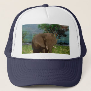 Elephant Grazing in the Bush, Truckers Hat