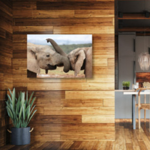 Elephant greeting Canvas Framed Print