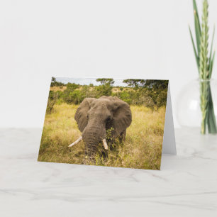 Elephant Greeting Card