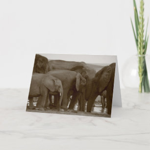 Elephant Greeting Cards for a Cause