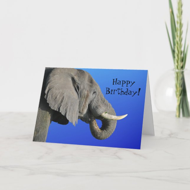 Elephant Happy Birthday Funny Age Blue and Grey Card (Front)