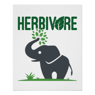 Elephant Herbivore Plant Eating Poster