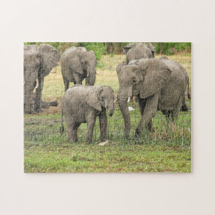 Elephant Herd Photo Puzzle
