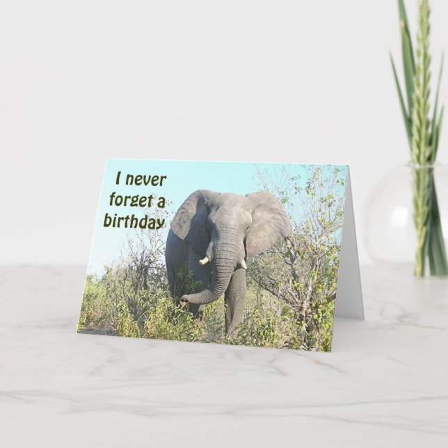 ELEPHANT/"I Never Forget A Birthday"/BELATED BIRTH Card (Front)