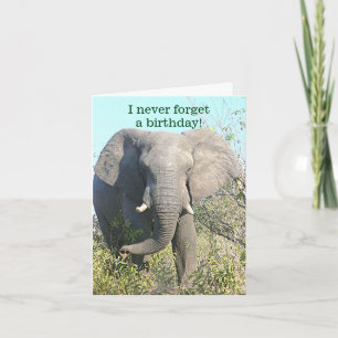 ELEPHANT/I NEVER FORGET A BIRTHDAY/EXCEPT YOURS CARD