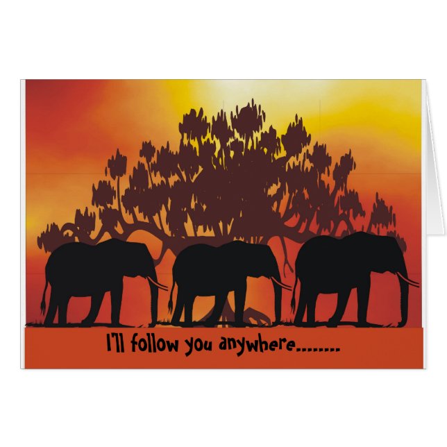 elephant- I'll follow you anywher... (Front Horizontal)