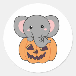 Elephant In Pumpkin Cute Elephant Happy Halloween Classic Round Sticker