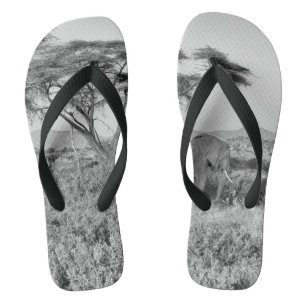Elephant in Samburu Flip Flops