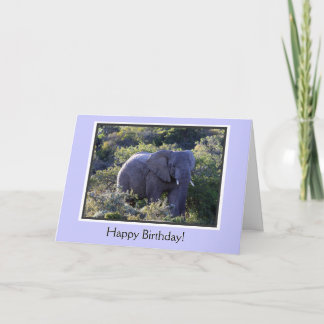 Elephant in Trees Happy Birthday Card