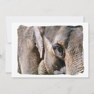 ELEPHANT invitation