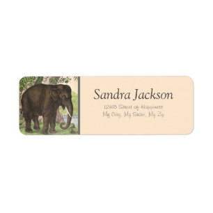 Elephant Jungle Print Return Address