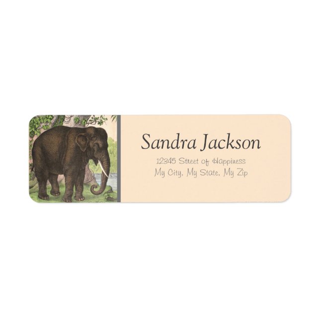 Elephant Jungle Print Return Address (Front)