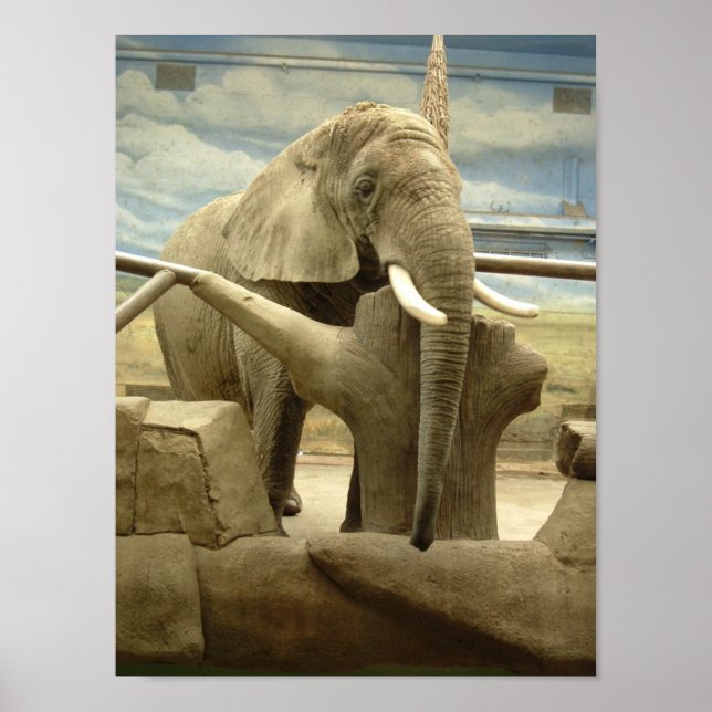 Elephant Love Poster (Front)