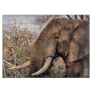 Elephant Lovers Art Cutting Board