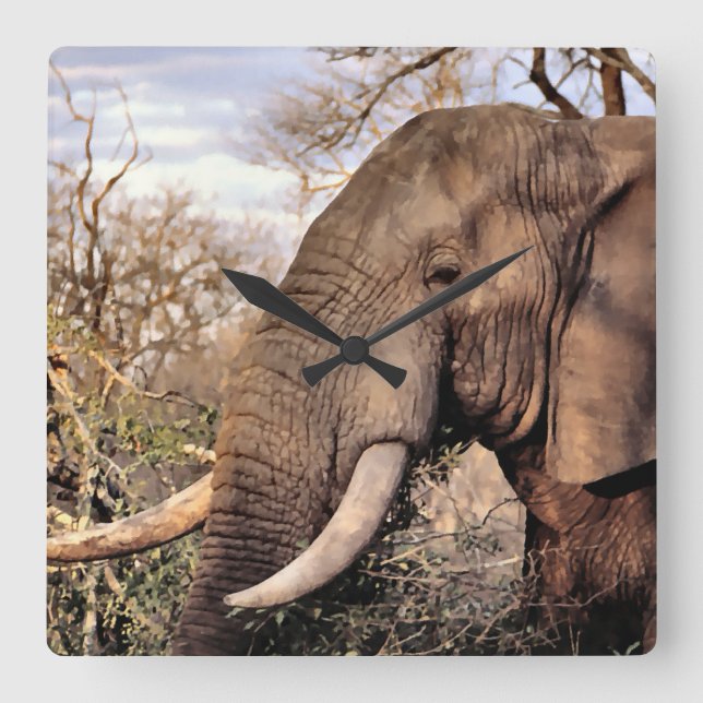 Elephant Lovers Art Square Wall Clock (Front)