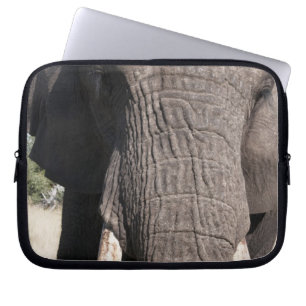 Elephant (Loxodonta africana), Abu Camp 3 Laptop Sleeve