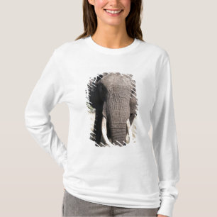 Elephant (Loxodonta africana), Abu Camp 3 T-Shirt