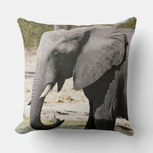 Elephant (Loxodonta africana), Savute Channel Throw Pillow