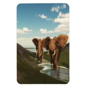 Elephant Magnet