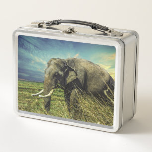 Elephant metal lunch box