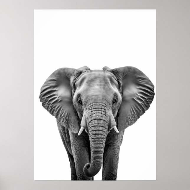 Elephant Modern Black White  Poster (Front)