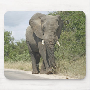 Elephant Mouse Pad