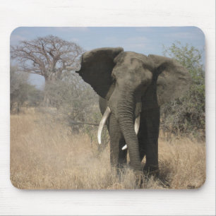 Elephant Mousepad