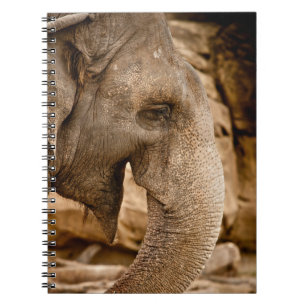 ELEPHANT NOTEBOOK