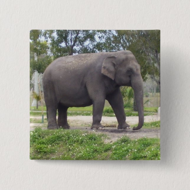 Elephant on Gentle Woodland Path 2 Inch Square Button (Front)