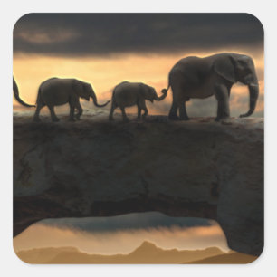 Elephant on Natural Land Bridge Square Sticker