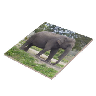 Elephant on Peaceful Meadow Path Tile