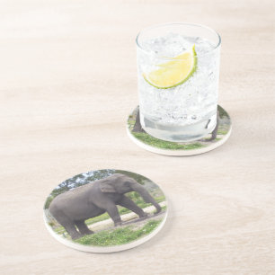 Elephant on Rustic Meadow Path Coaster
