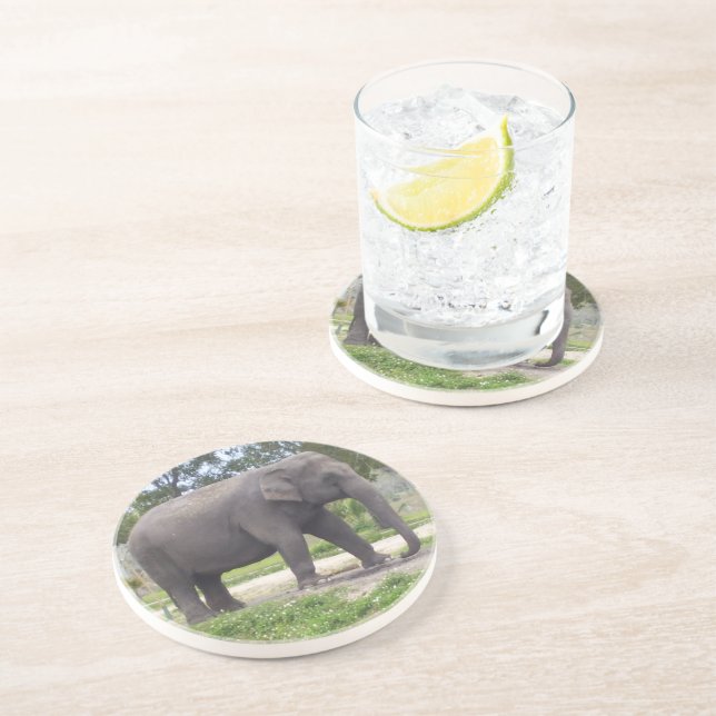 Elephant on Rustic Meadow Path Coaster (Side)