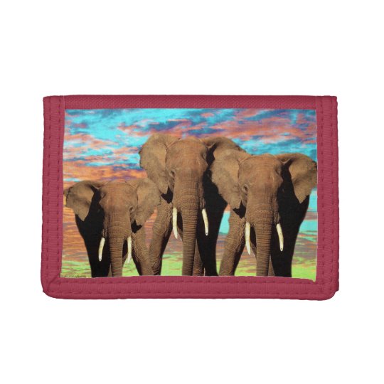 Elephant Opal Sunrise, Tri-fold Wallet