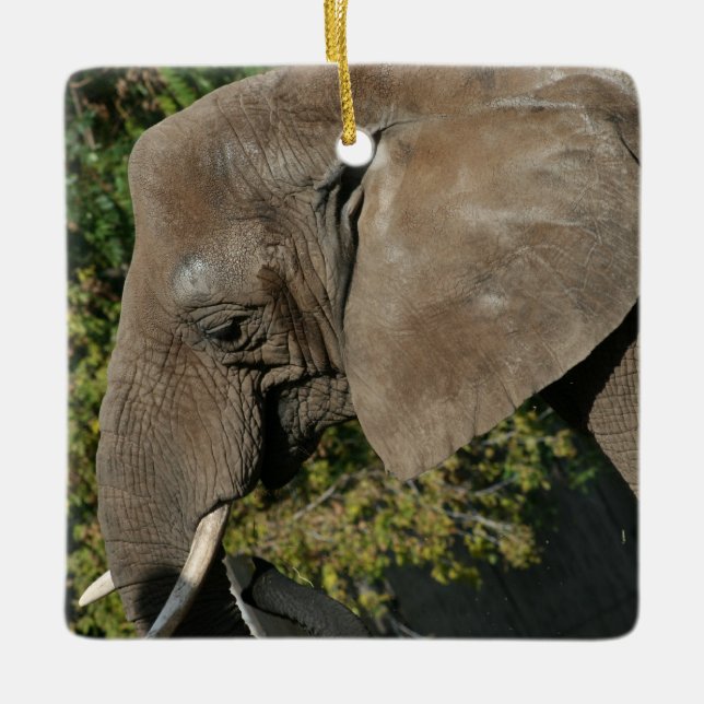 Elephant Ornament (Front)