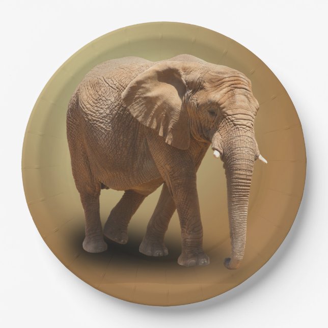 ELEPHANT PAPER PLATE (Front)