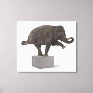 Elephant performing trick on box canvas print