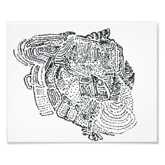 Elephant  photo print