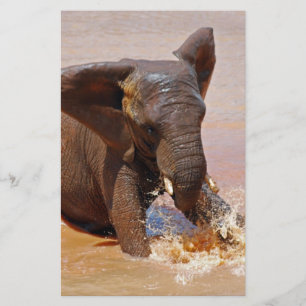 Elephant playing with water